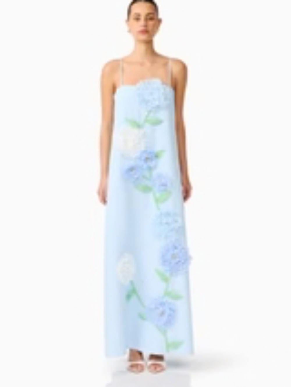 Elliat Buttercup Embroidered Maxi Dress In Blue